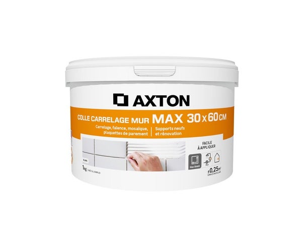 Colle en pâte mur plan de travaiL intérieur, AXTON, 1 kg blanc