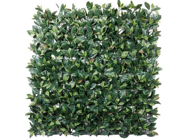 Mur vegetal artificiel photonia vert, 30% recyclé, H.1 x L.1m, IDEAL GARDEN