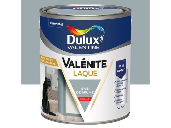 Peinture boiserie gris de brume brillant DULUX VALENTINE Valenite 2l