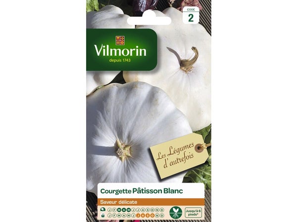 Sachet graines courgette pâtisson blanc, VILMORIN, 5 g