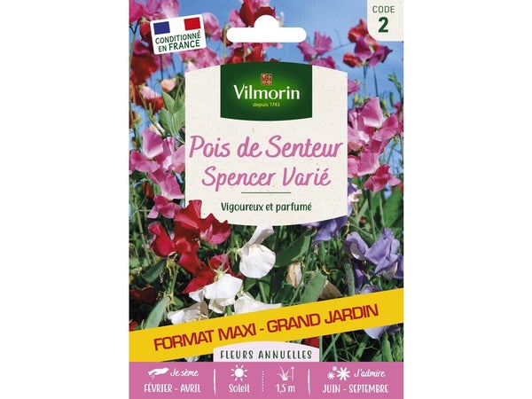 Spencer varie VILMORIN 15 g