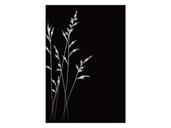 Plaque de protection murale Champêtre, DIXNEUF, l.81 cm x H.100 cm noir