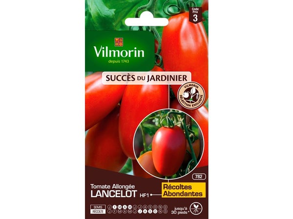 Tomate lancelot, hybride f1 VILMORIN 0.1 g