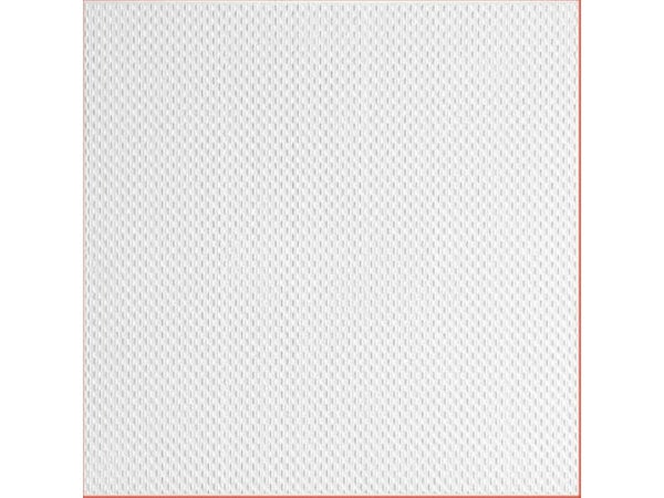 Dalle de plafond t141 polymère expansé 10 mm, L.50 x l.50 cm