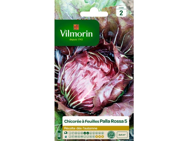 Chicorée sauvage chioggia VILMORIN 4 g
