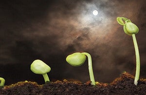 Jardiner avec la lune en avril 2018 : on fait quoi ? 