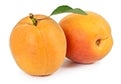 Abricots