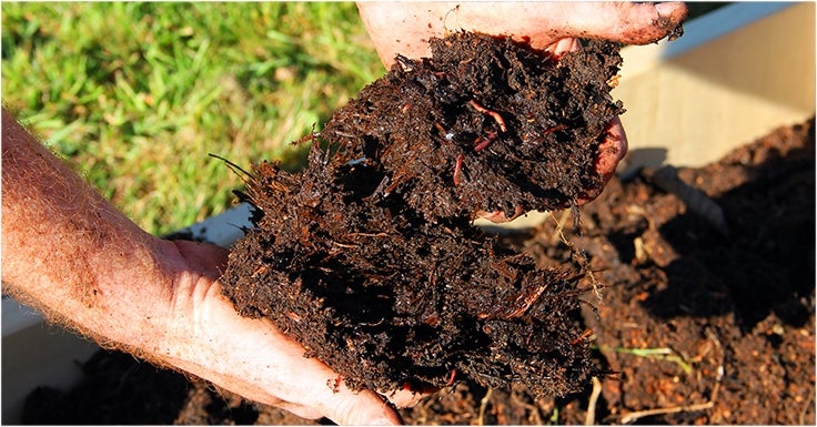 Reconnaître un compost sain