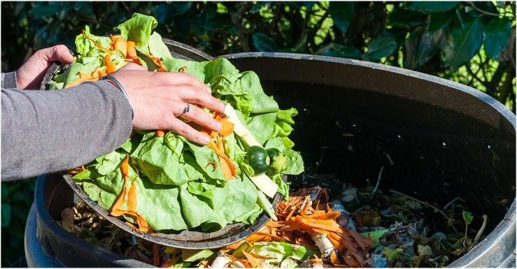 5. Mettez-vous au compost