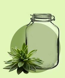 Fête des mères : fabriquer un mini-terrarium - Conseils