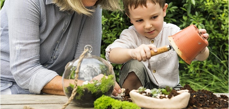 Fête des mères : fabriquer un mini-terrarium