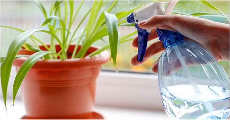 Pulvérisateur Pour La Pulvérisation Des Plantes Entretien Des Fleurs  Aménagement Paysager Jardinage Aider Les Plantes Par Temps Chaud