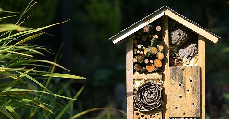 Quand installer mon abri à insectes ?