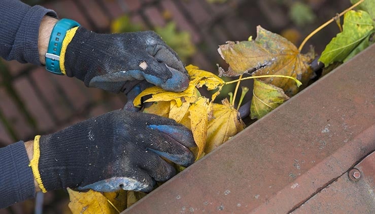 Réparation ou nettoyage de gouttières : quand faut-il agir?