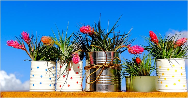 Bricolage : des fleurs en fil de fer pour décorer le jardin 