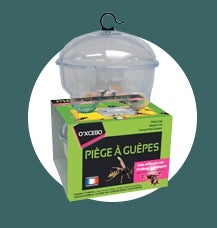 PIEGE A GUEPE