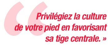 privilégiez la culture 