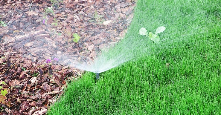 Et le jardin, qui s’en occupe ?