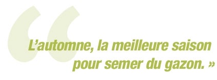 F.P : Patience, Il faudra attendre l’automne, la meilleure saison pour semer, ou le printemps au plus tard.