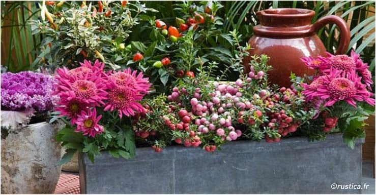 Une jardinière en automne, c’est encore possible alors que le jardin s’endort ?