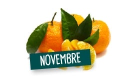 NOVEMBRE