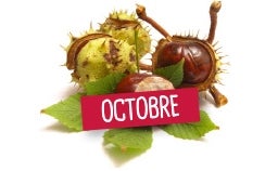 OCTOBRE