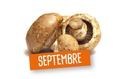 SEPTEMBRE