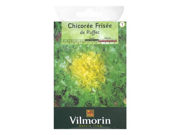 Chicorée Frisée De Ruffec Vilmorin 4 G