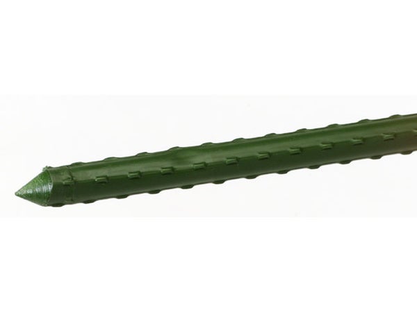 Tuteur Plastifié Droit Nortene H.0.60 M