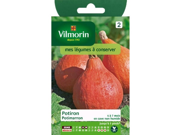 Potiron Potimarron Vilmorin 3 G