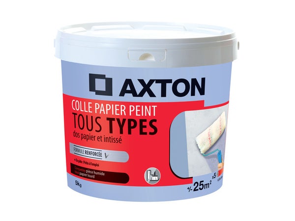 Colle pâte tous papiers peints AXTON, 5 kg