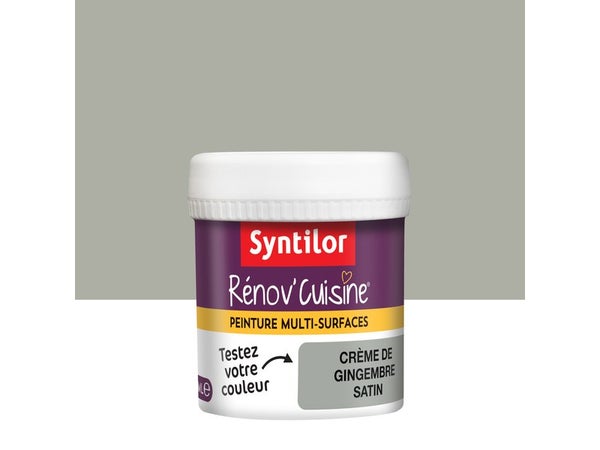 Testeur Peinture Cuisine Toute Surface Syntilor Crème De Gingembre Satin 0.075L