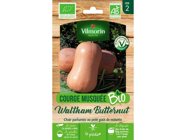 Graine Potagère Courge Waltham Wutternut Bio Vilmorin 2 G