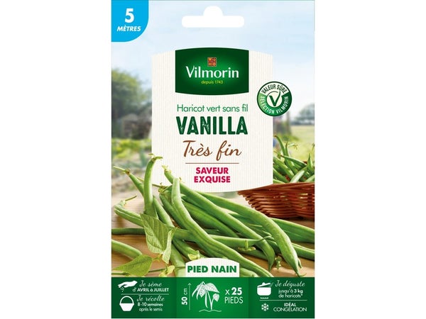 Graine Haricot Vanilla Vilmorin 22 G