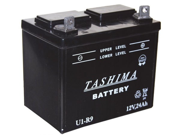 Batterie Pour Tondeuses Autoportées 12V, 24A (Livrée Sans Acide)