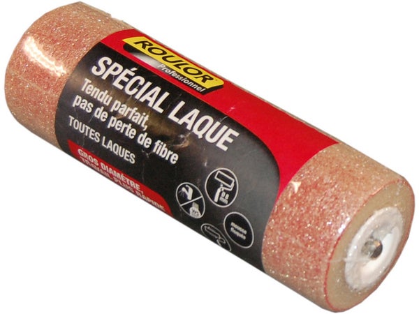 Recharge Laque Pour Mur Et Plafond, Roulor, L.180 Mm