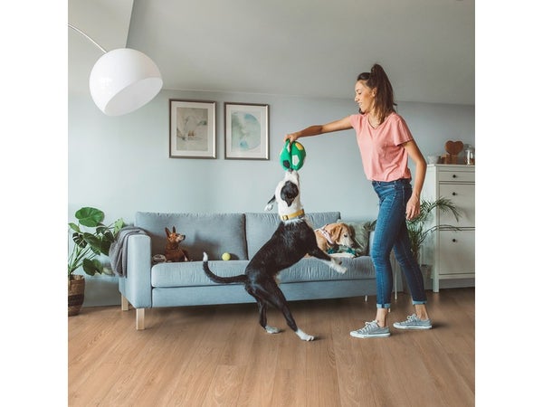 Lame PVC a clipser GERFLOR Senso clic 30 simba nature