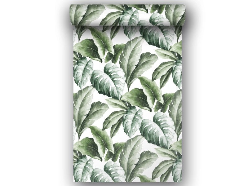 Rustique Étagère Plantes en Pot Papier peint motif floral vert gris marron Vinyle Coller Paroi 