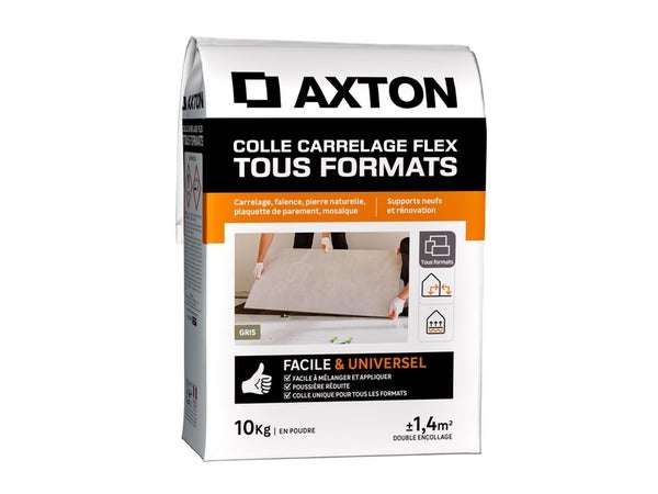 Colle en poudre sol/mur, interieur/exterieur, easy, gris AXTON 10KG