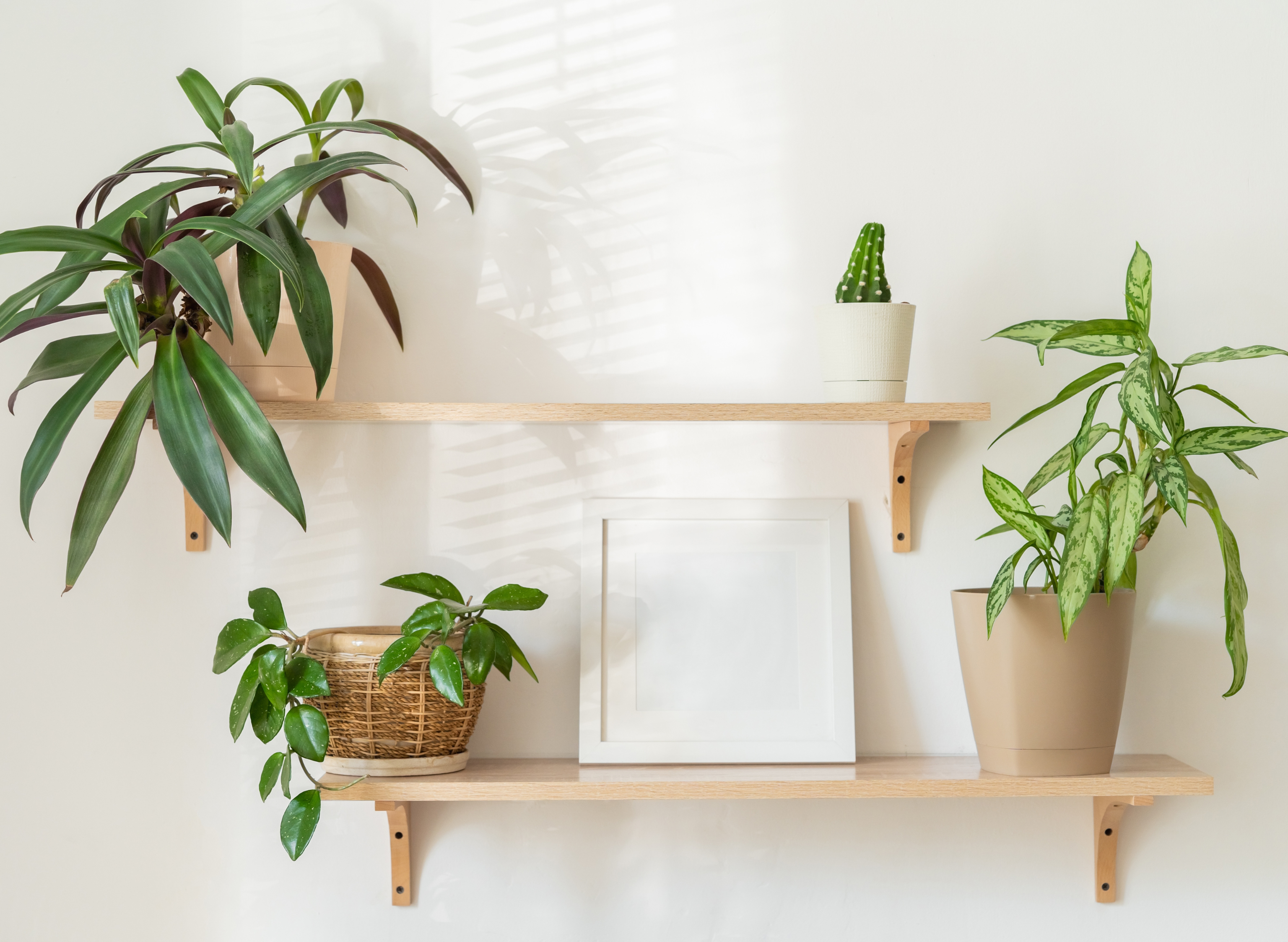 Comment fixer une étagère murale facilement et solidement ?