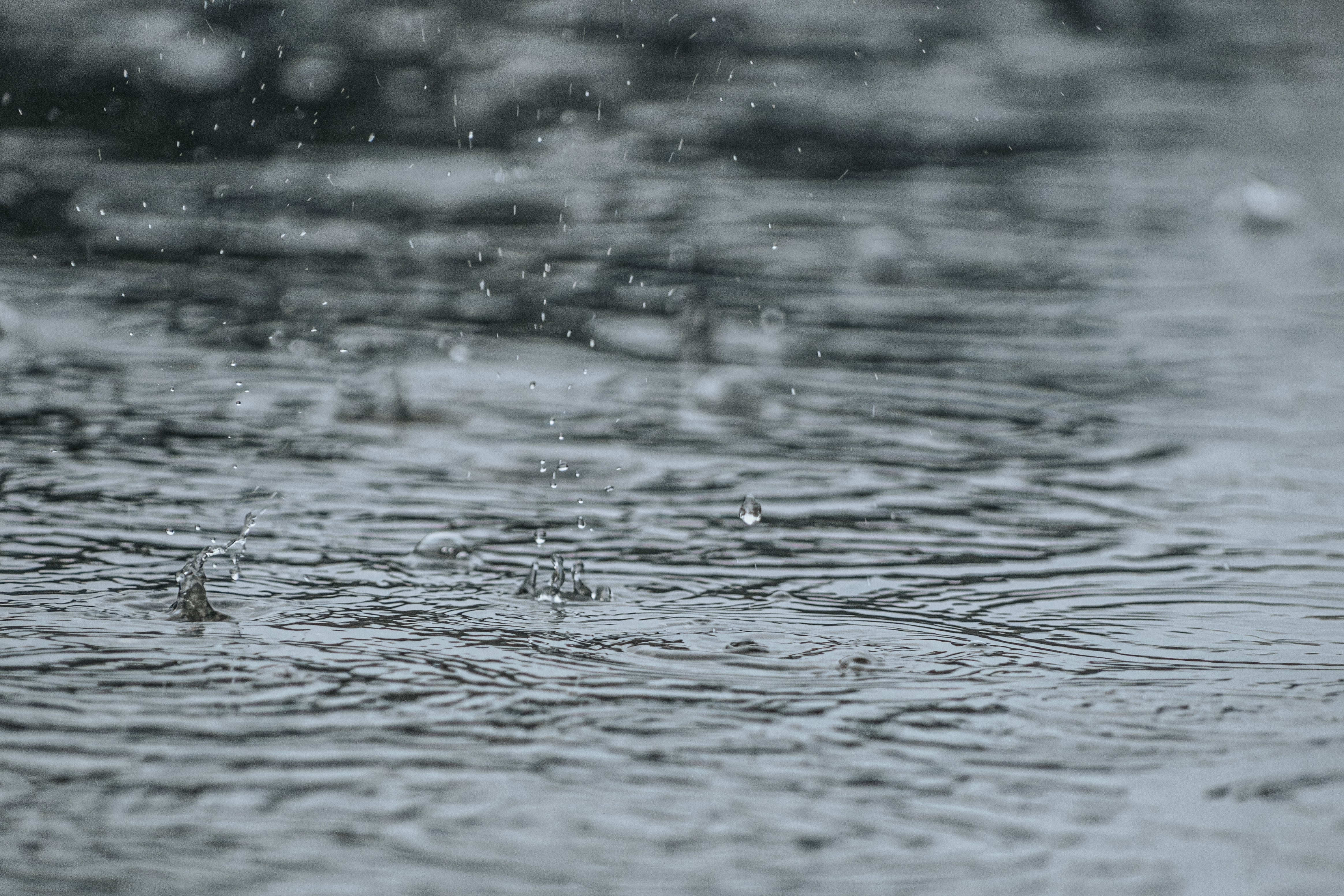 Alerte inondation : comment sécuriser votre maison, préserver votre intérieur et garder les pieds au sec