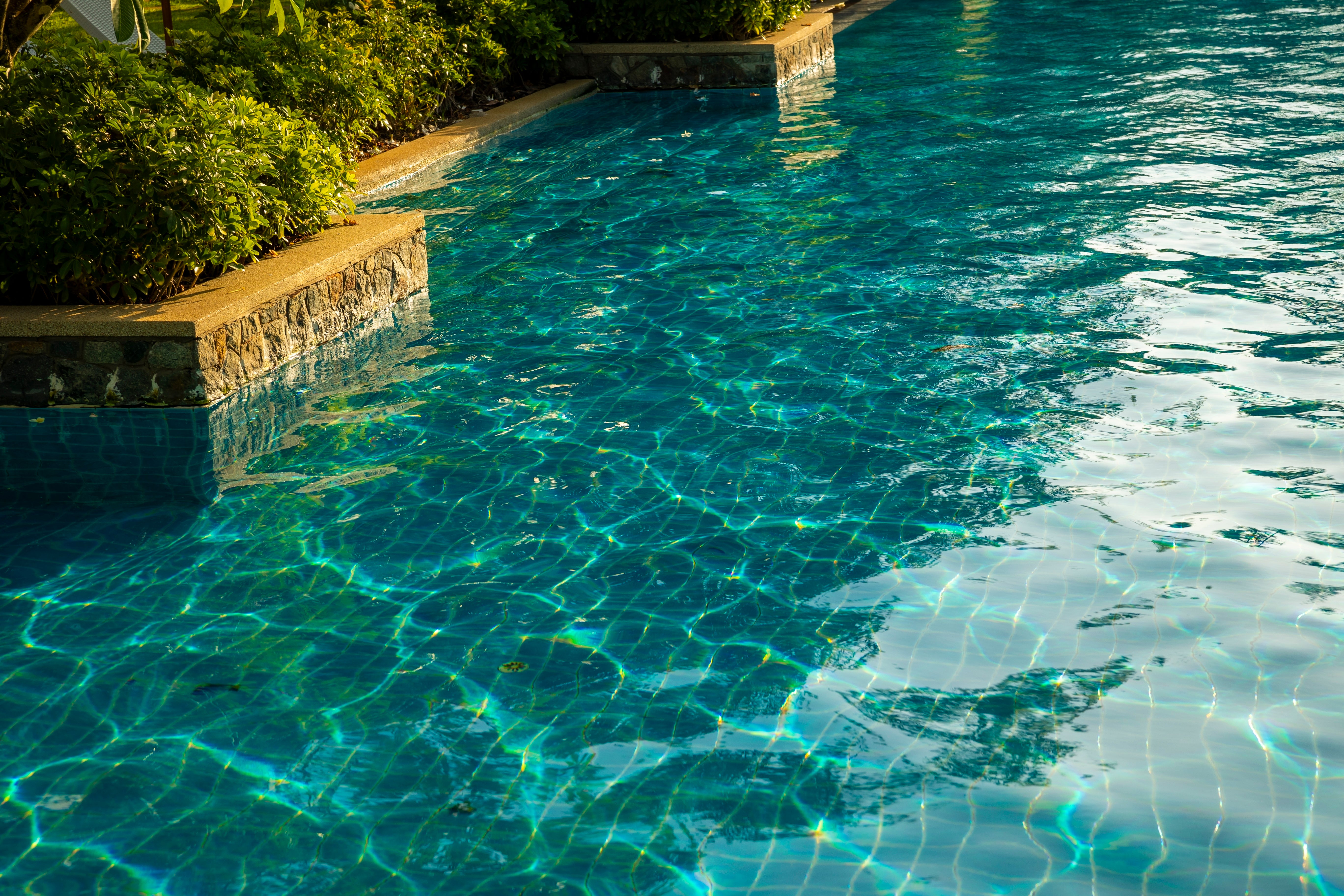 Piscine verte après les vacances : comment rattraper l'eau avant l'hivernage ?