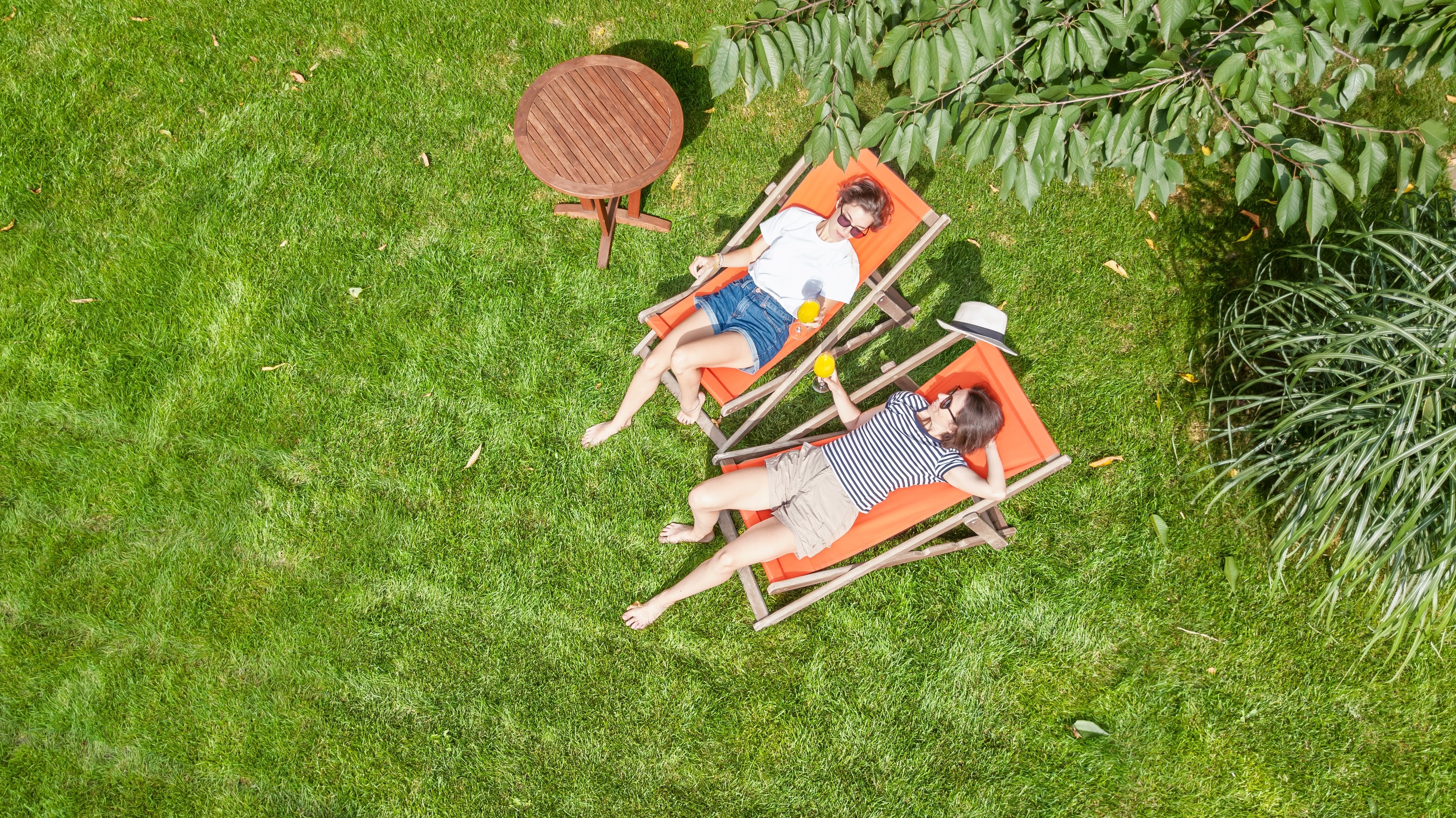 Transat jardin : quel est le meilleur rapport qualité/prix ?