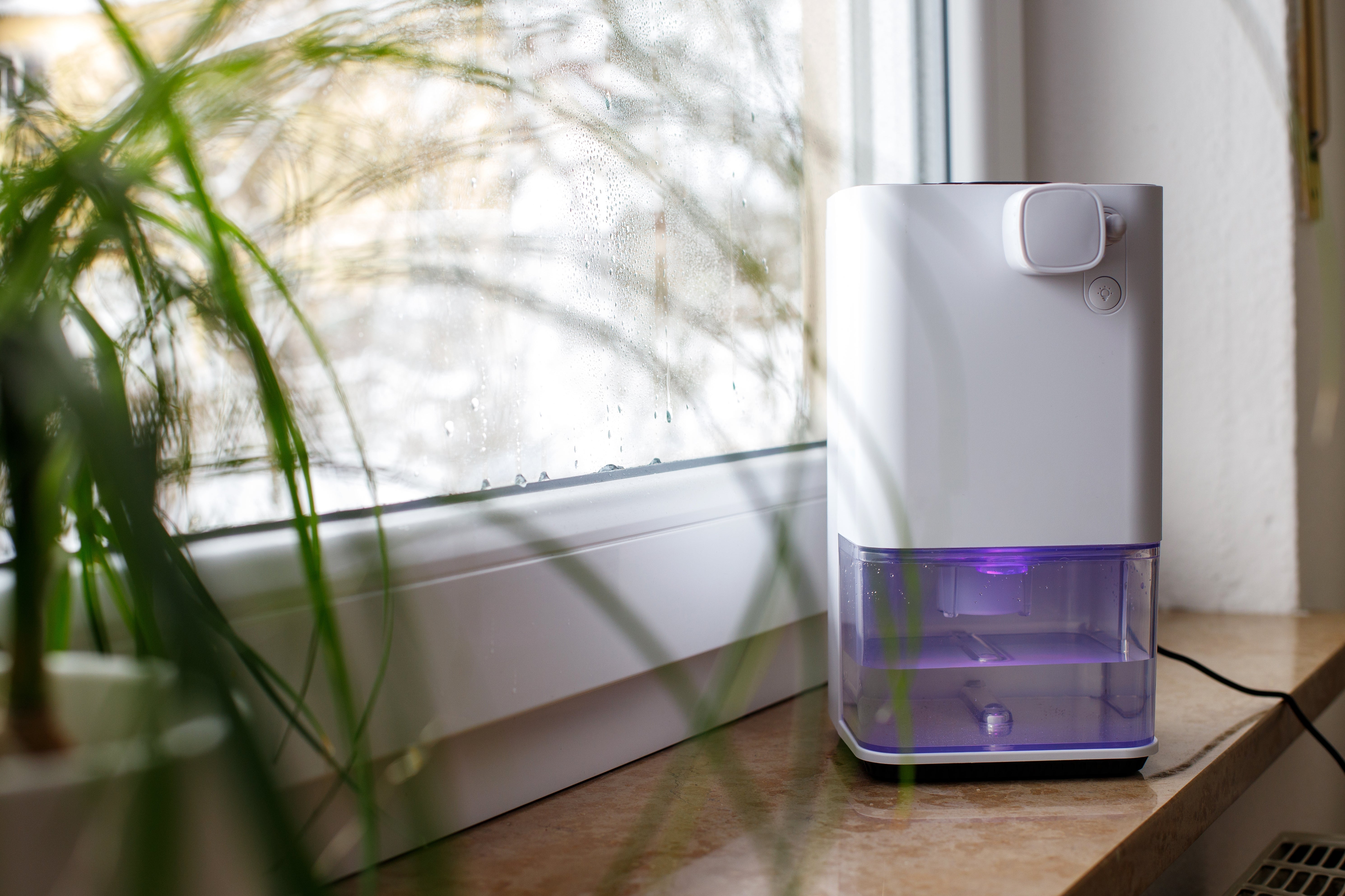 Comment choisir un absorbeur d'humidité selon chaque pièce de la maison ?