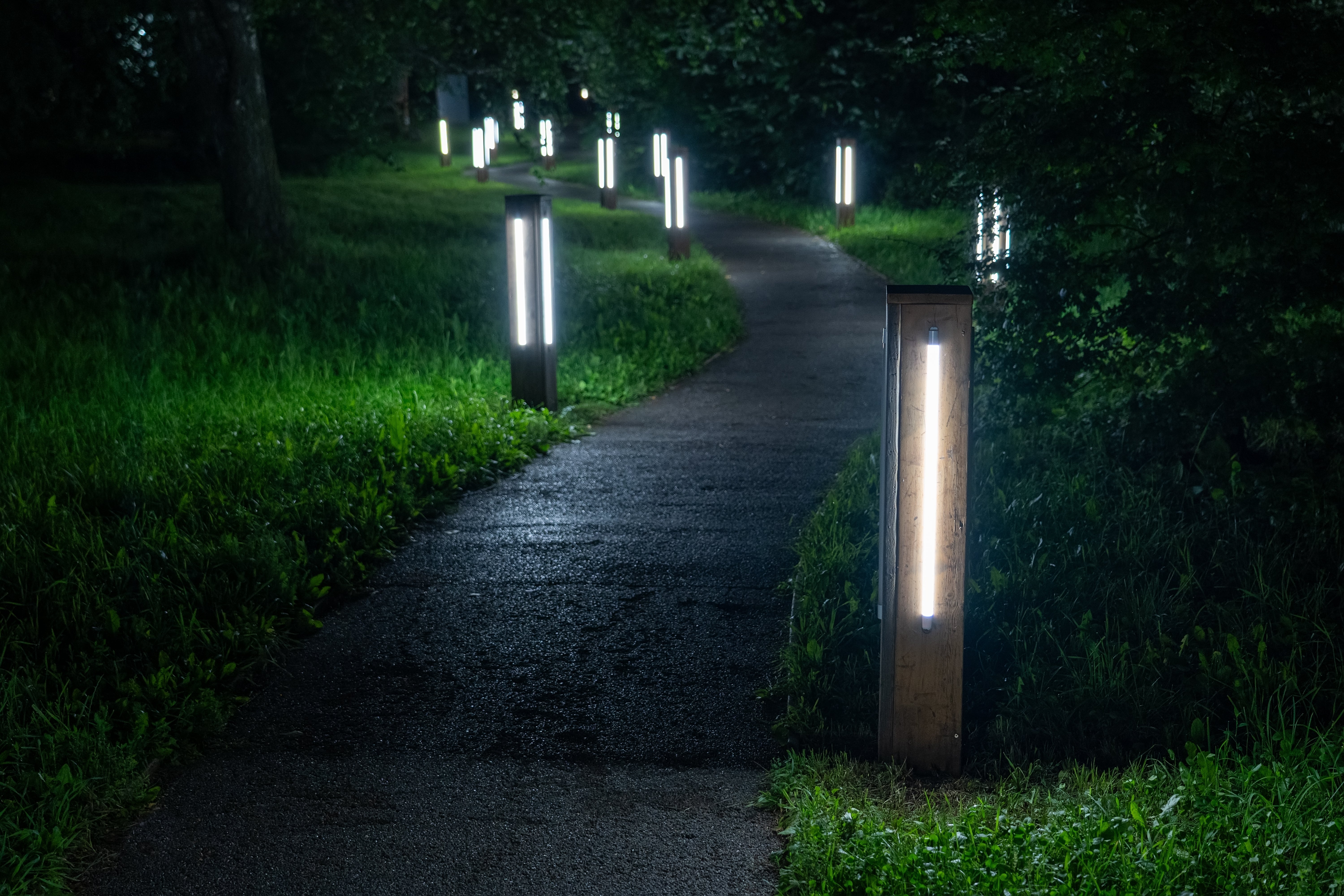 Éclairage solaire extérieur puissant : comment illuminer votre jardin sans consommer 1 kWh ?
