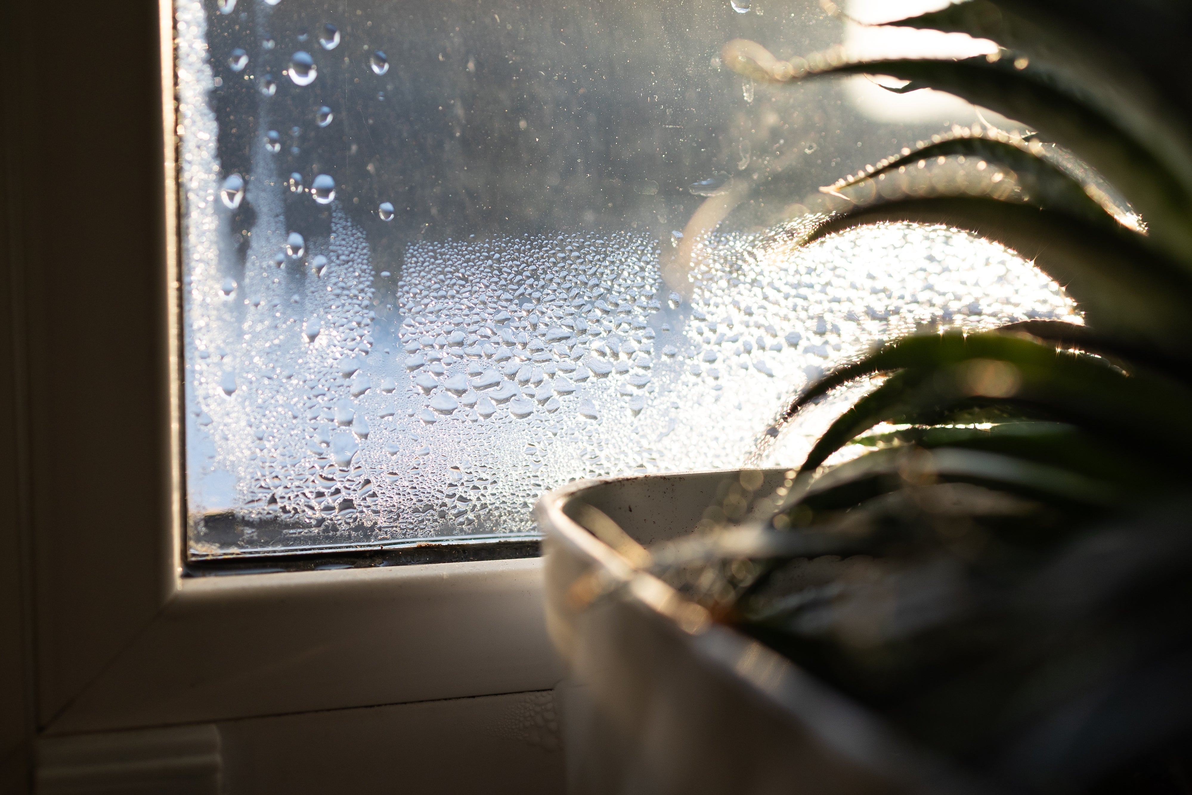 Humidité dans la maison après les pluies de mai : que faire pour assainir ?