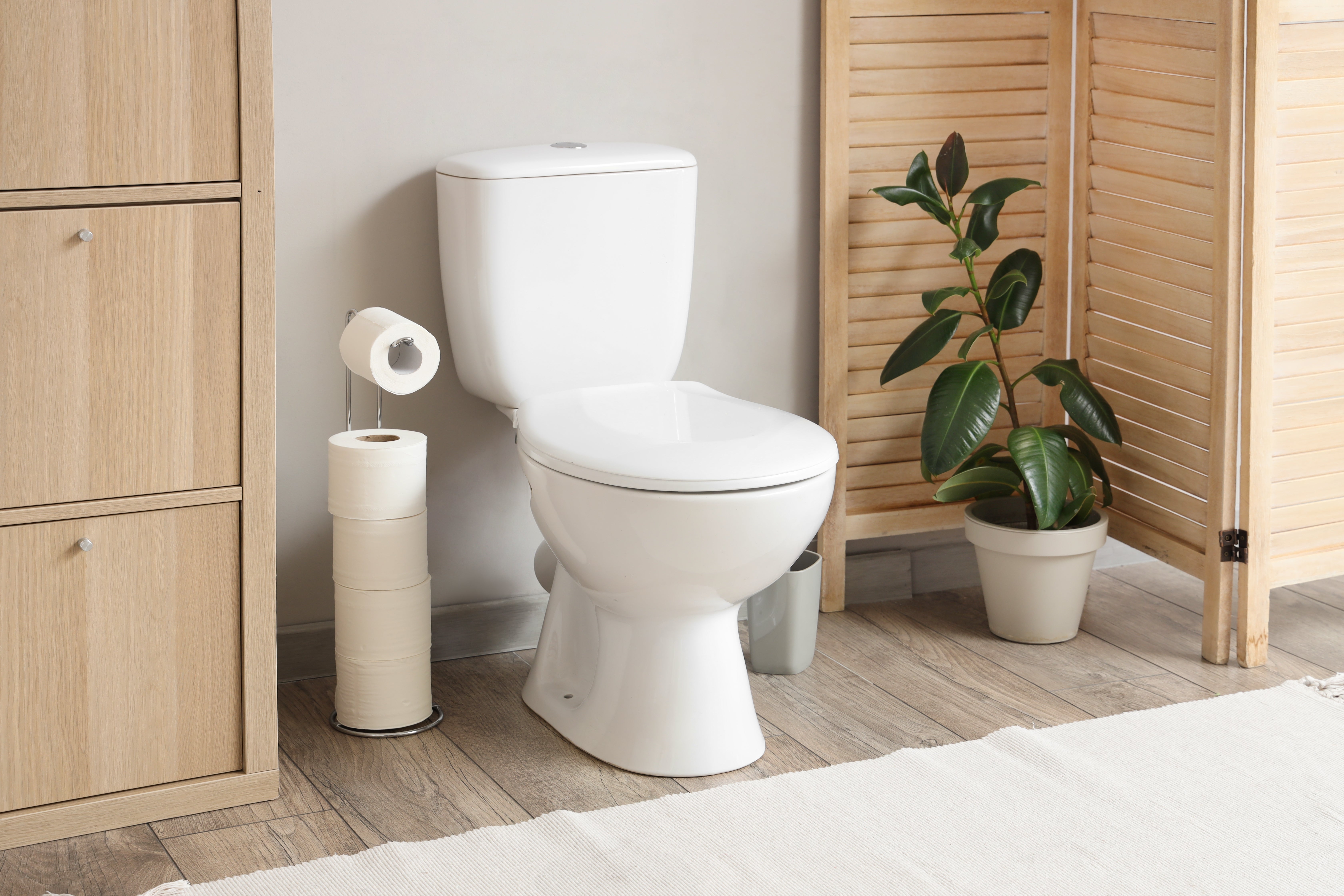 Toilettes