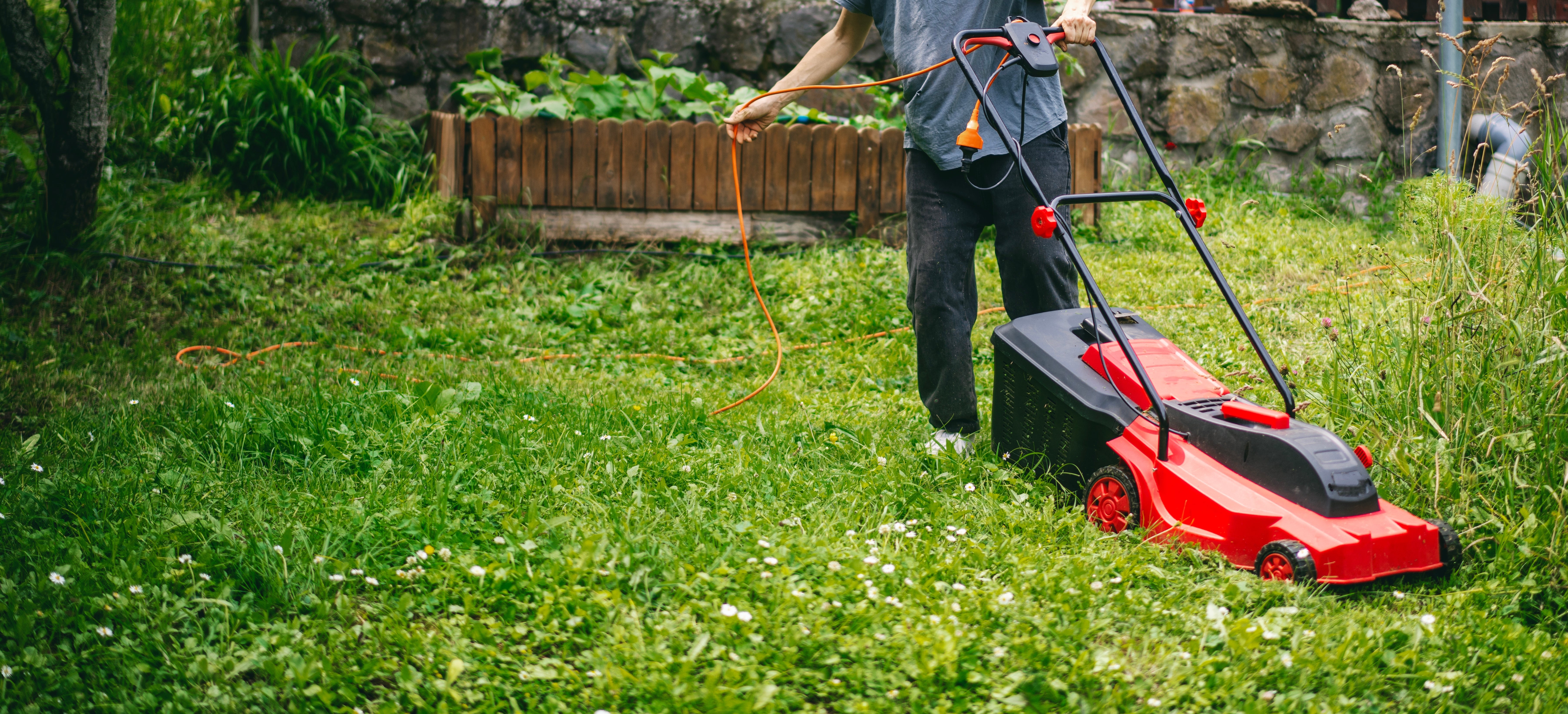 Comparatif des tondeuses électriques filaires : puissance et largeur de coupe selon votre jardin