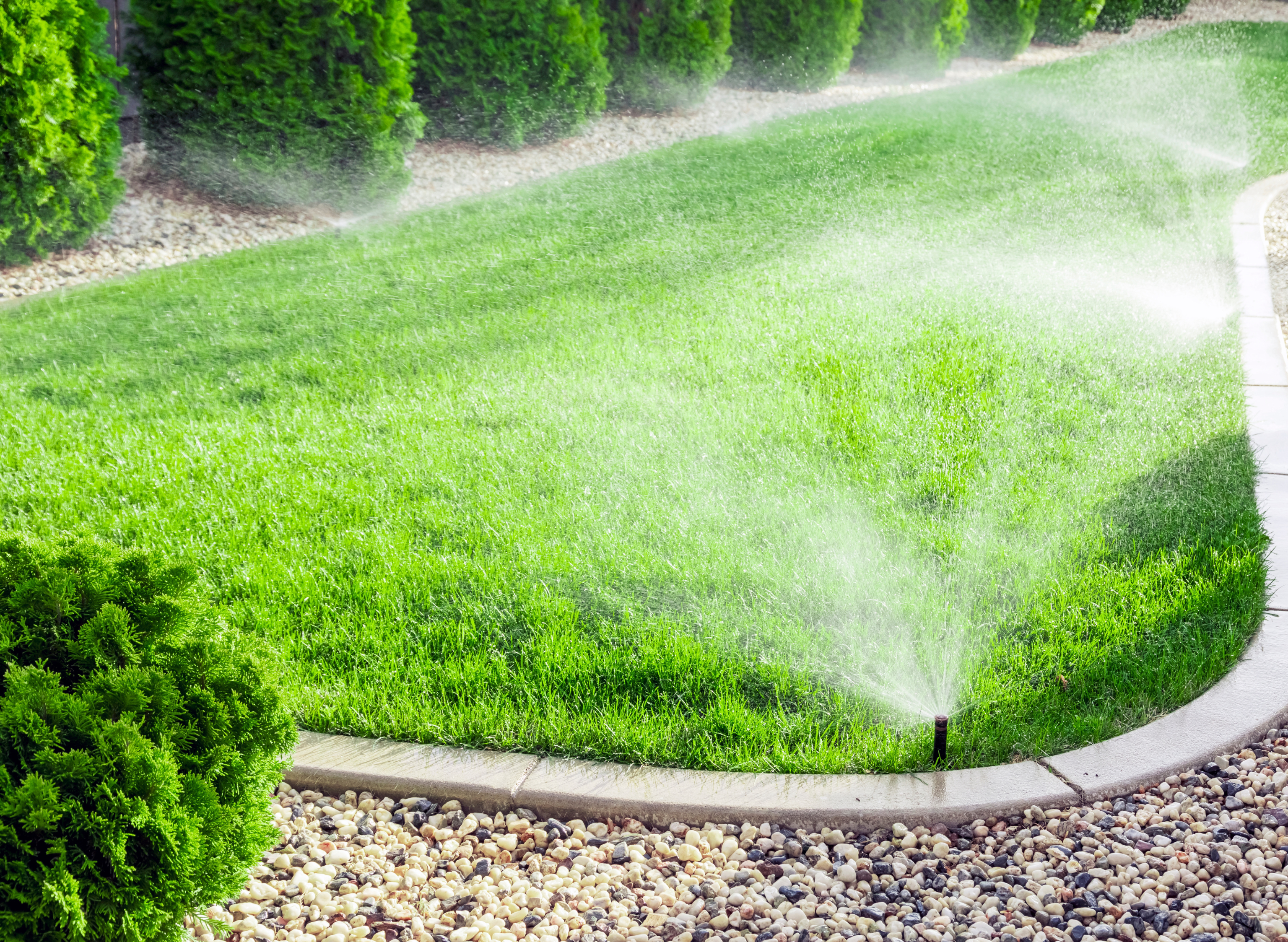 Canicule : comment installer un arrosage automatique pour sauver votre jardin