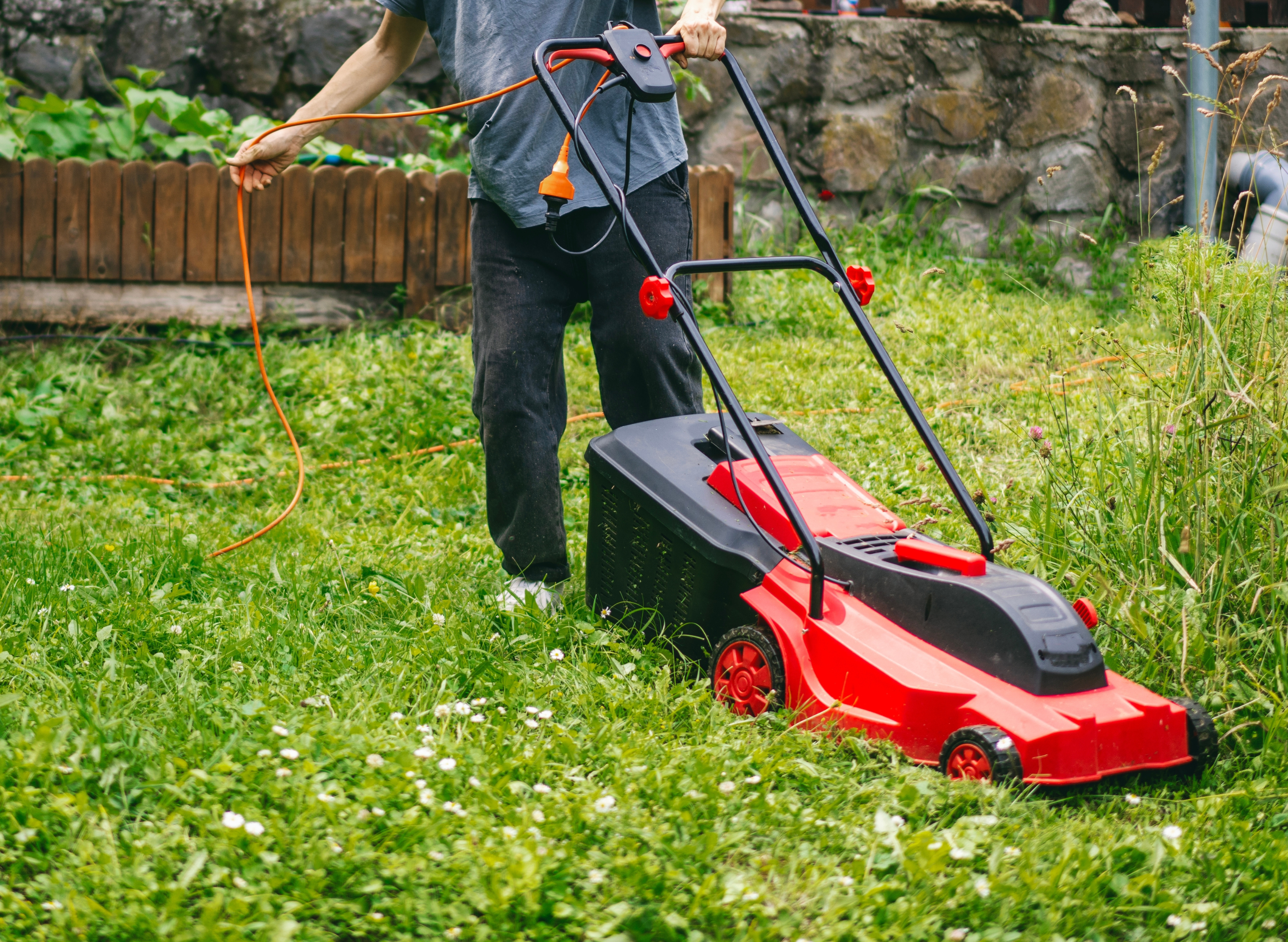 Comparatif des tondeuses électriques filaires : puissance et largeur de coupe selon votre jardin